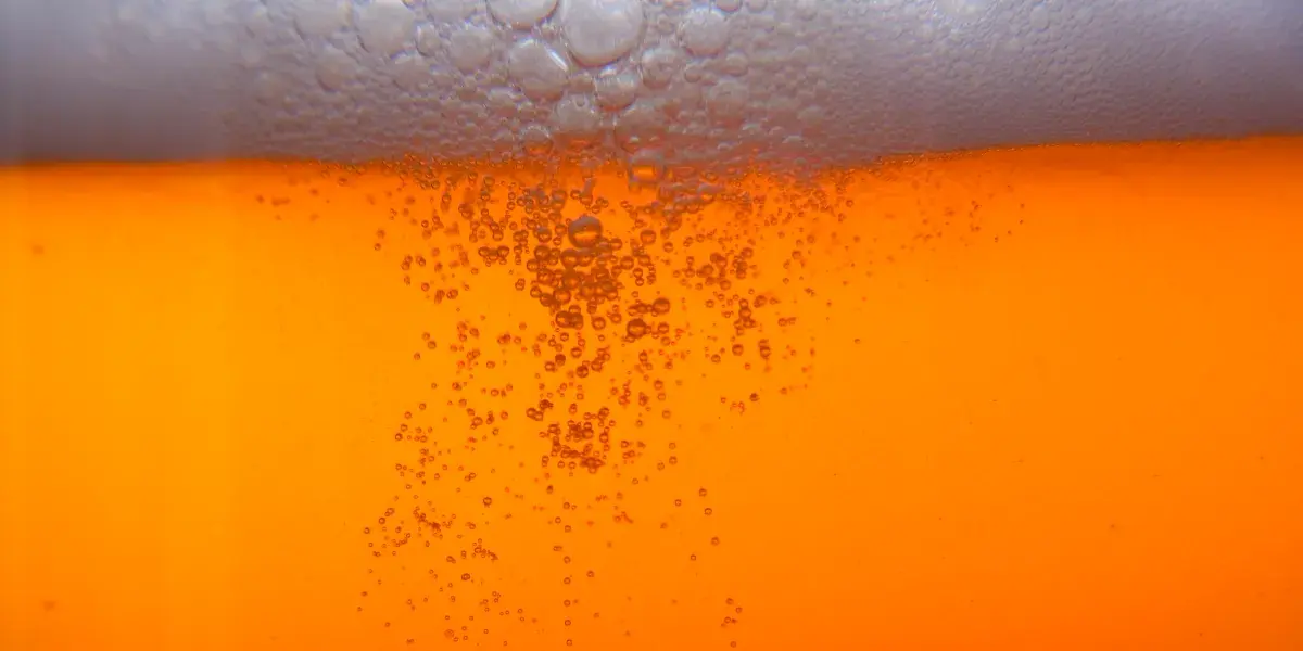 How I Fought My Beer Addiction