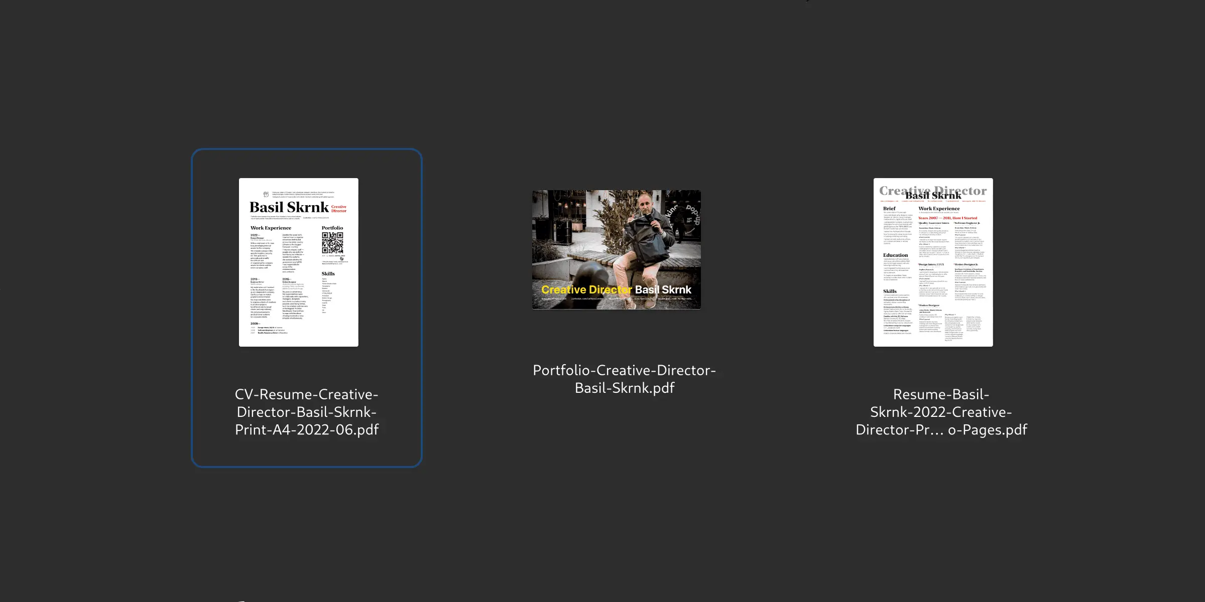 Preview: Simplified resume, pdf-portfolio, original CV of Basil Skrnk